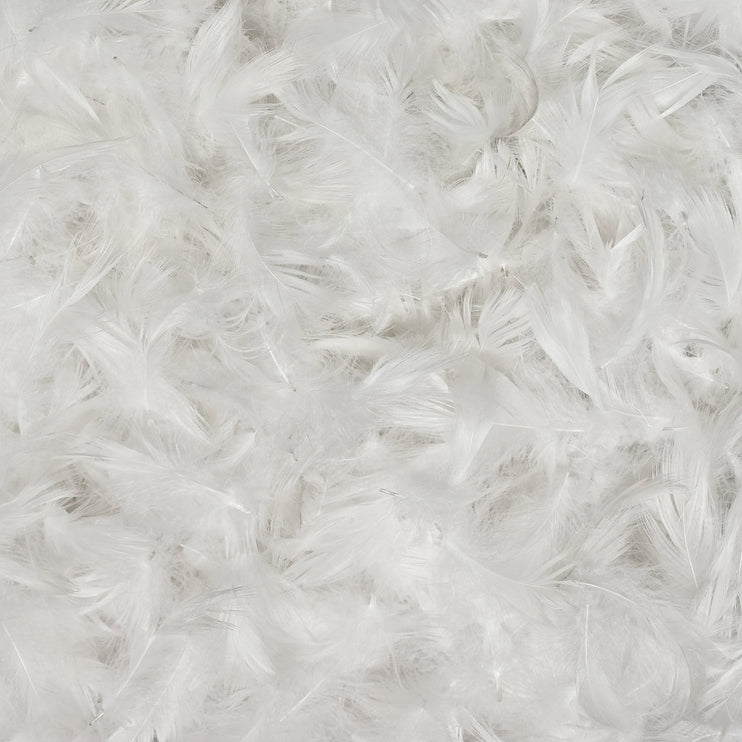 Bettdecke Arkthis, Weiß, 100% Entendaunen & 100% Baumwolle | Hochwertige Wohnaccessoires