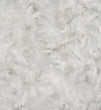Kopfkissen Eving, Weiß, 90% Entendaunen & 10% Entenfedern & 100% Baumwolle | Hochwertige Wohnaccessoires